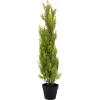 EUROPALMS Τεχνητό φυτό Leyland-Zypresse, 90cm, μαύρη γλάστρα 82606962