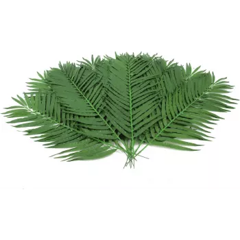 EUROPALMS Τεχνητά φύλλα κοκοφοίνικα, 90 cm, 12 τεμ., πράσινο 82509896
