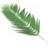EUROPALMS Τεχνητά φύλλα κοκοφοίνικα, 90 cm, 12 τεμ., πράσινο 82509896