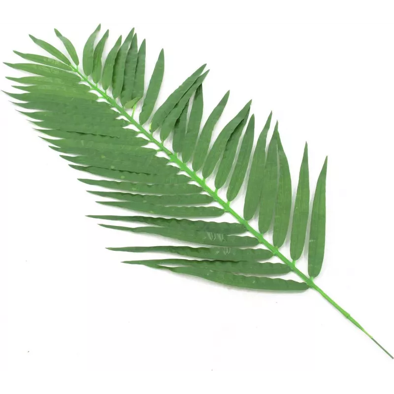 EUROPALMS Τεχνητά φύλλα κοκοφοίνικα, 90 cm, 12 τεμ., πράσινο 82509896