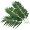 EUROPALMS Τεχνητά φύλλα κοκοφοίνικα, 90 cm, 12 τεμ., πράσινο 82509896