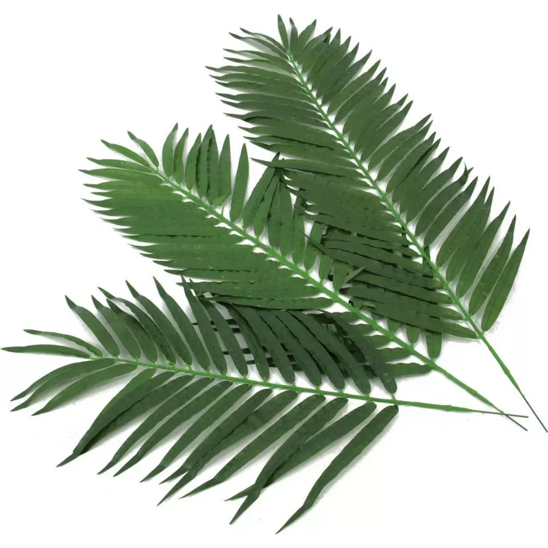 EUROPALMS Τεχνητά φύλλα κοκοφοίνικα, 90 cm, 12 τεμ., πράσινο 82509896