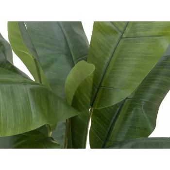 EUROPALMS Τεχνητή μπανανιά, 120cm, ρεαλιστικά πράσινα φύλλα, μαύρη γλάστρα 82509537