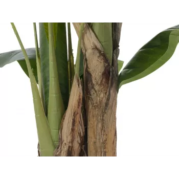 EUROPALMS Τεχνητή μπανανιά, 120cm, ρεαλιστικά πράσινα φύλλα, μαύρη γλάστρα 82509537
