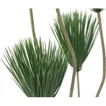 EUROPALMS Τεχνητό φυτό παπύρου, 130 cm 82600235
