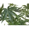 EUROPALMS Τεχνητό φυτό κάνναβης, 120cm, πράσινο, μαύρη γλάστρα 82506693