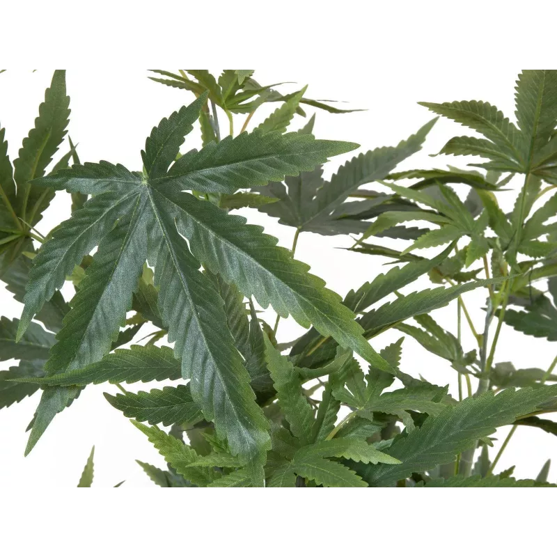 EUROPALMS Τεχνητό φυτό κάνναβης, 120cm, πράσινο, μαύρη γλάστρα 82506693