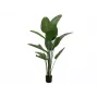 EUROPALMS Τεχνητό στρελίτσια, 170 cm 82540523