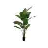 EUROPALMS Τεχνητό στρελίτσια, 170 cm 82540523