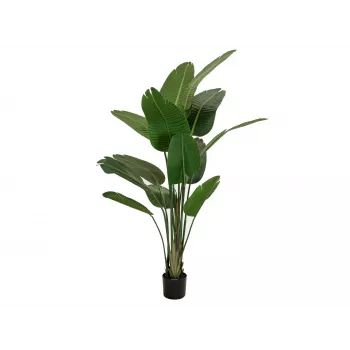 EUROPALMS Τεχνητό στρελίτσια, 170 cm 82540523