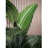 EUROPALMS Τεχνητό στρελίτσια, 170 cm 82540523