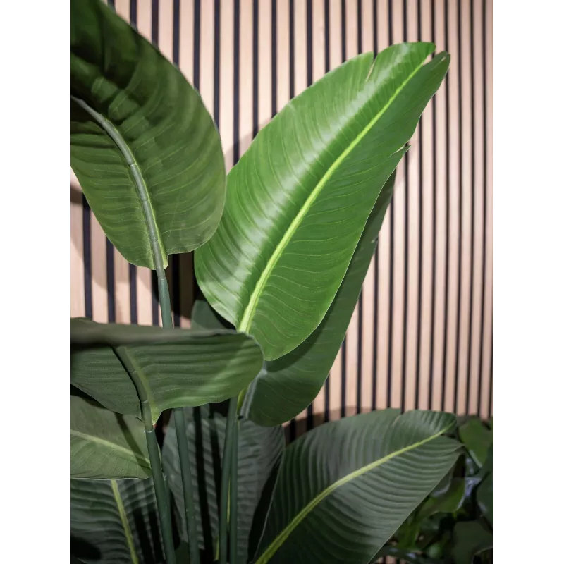EUROPALMS Τεχνητό στρελίτσια, 170 cm 82540523