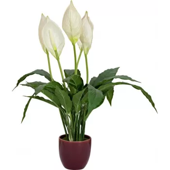 EUROPALMS Τεχνητό κρίνο της ειρήνης, 60 cm 82505660