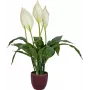 EUROPALMS Τεχνητό κρίνο της ειρήνης, 60 cm 82505660
