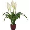 EUROPALMS Τεχνητό κρίνο της ειρήνης, 60 cm 82505660