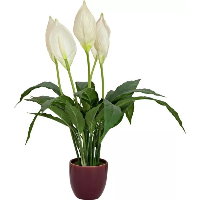 EUROPALMS Τεχνητό κρίνο της ειρήνης, 60 cm 82505660