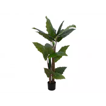 EUROPALMS Τεχνητό φυτό αλοκασίας, 140cm, πράσινο, μαύρη γλάστρα 82508464