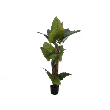 EUROPALMS Τεχνητό φυτό αλοκασίας, 140cm, πράσινο, μαύρη γλάστρα 82508464
