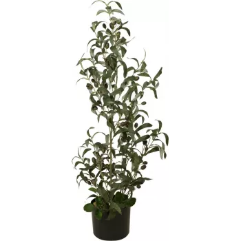 EUROPALMS Τεχνητή ελιά, 90 cm 82506422