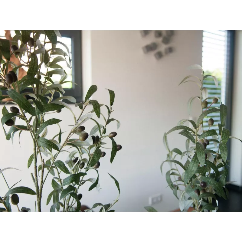 EUROPALMS Τεχνητή ελιά, 90 cm 82506422