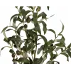 EUROPALMS Τεχνητή ελιά, 90 cm 82506422