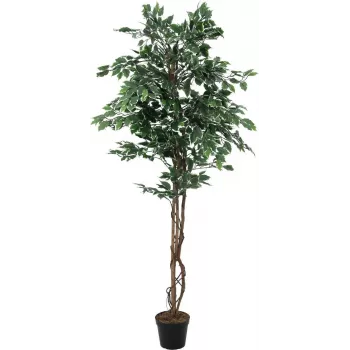 EUROPALMS Ασημί ficus benjamina τεχνητό φυτό, 180 cm 82506116