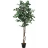 EUROPALMS Ασημί ficus benjamina τεχνητό φυτό, 180 cm 82506116