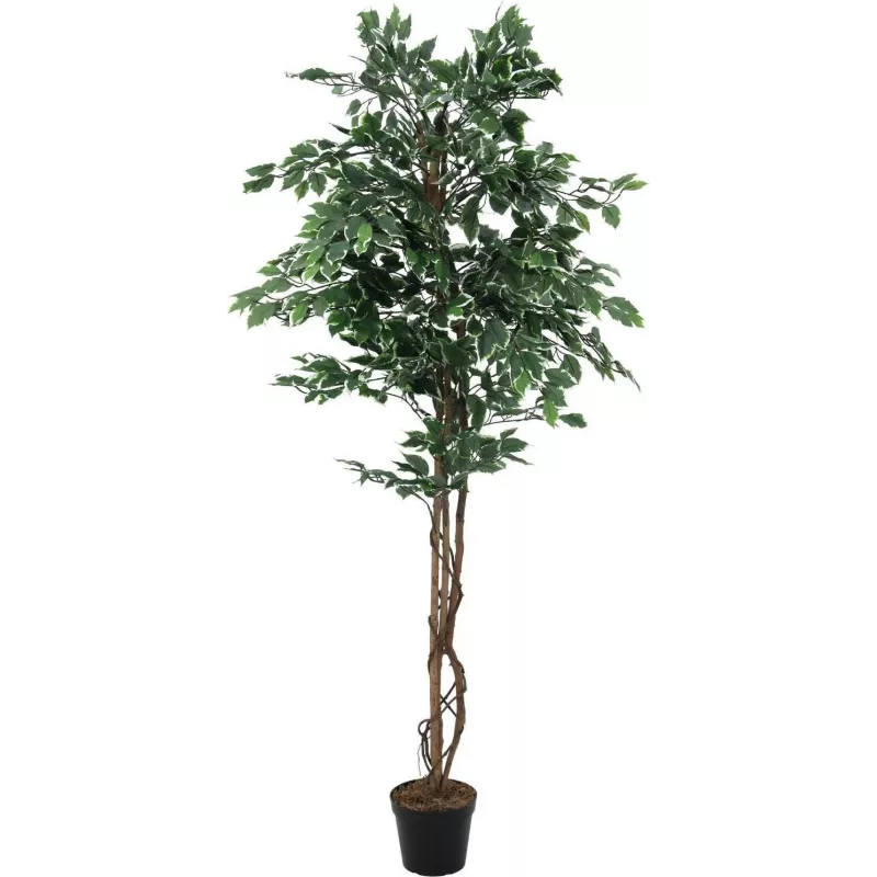 EUROPALMS Ασημί ficus benjamina τεχνητό φυτό, 180 cm 82506116