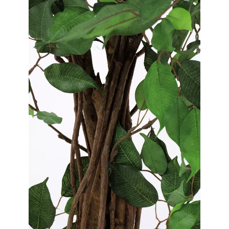 EUROPALMS Ficus Benjamina Πολύστυμο τεχνητό φυτό, 210cm 82506127