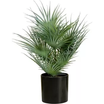 EUROPALMS Τεχνητό φοινικόφυλλο σε γλάστρα, 55 cm 82509401