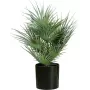 EUROPALMS Τεχνητό φοινικόφυλλο σε γλάστρα, 55 cm 82509401