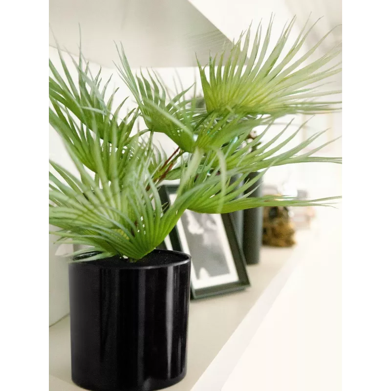EUROPALMS Τεχνητό φοινικόφυλλο σε γλάστρα, 55 cm 82509401