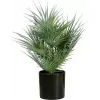 EUROPALMS Τεχνητό φοινικόφυλλο σε γλάστρα, 55 cm 82509401