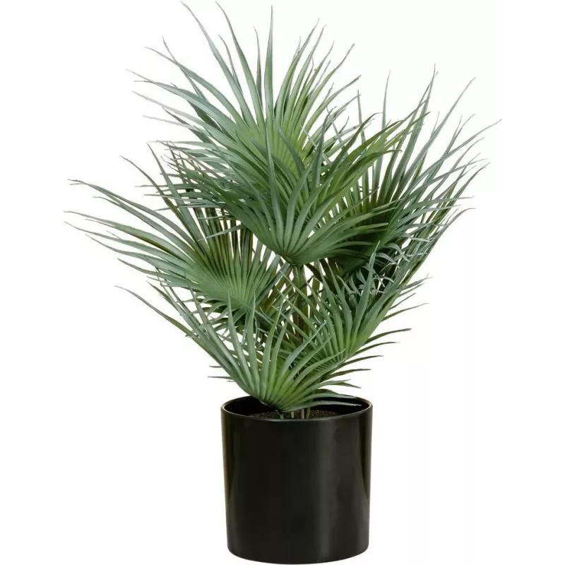 EUROPALMS Τεχνητό φοινικόφυλλο σε γλάστρα, 55 cm 82509401