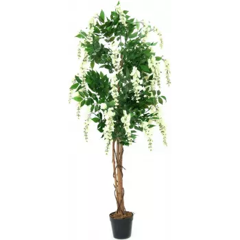 EUROPALMS Goldregen Τεχνητό φυτό, λευκό, 150cm (82507105)