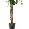 EUROPALMS Goldregen Τεχνητό φυτό, λευκό, 150cm (82507105)