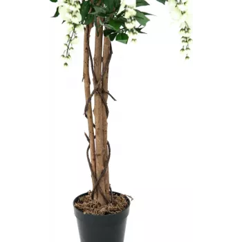 EUROPALMS Goldregen Τεχνητό φυτό, λευκό, 150cm (82507105)