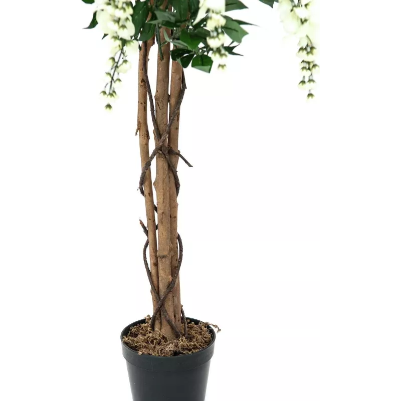 EUROPALMS Goldregen Τεχνητό φυτό, λευκό, 150cm (82507105)