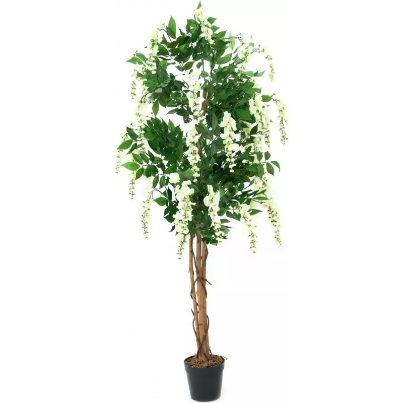 EUROPALMS Goldregen Τεχνητό φυτό, λευκό, 150cm (82507105)