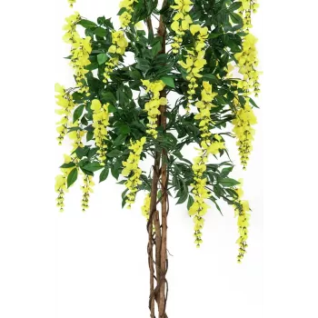 EUROPALMS Goldregen Τεχνητό φυτό, κίτρινο, 150cm 82507115