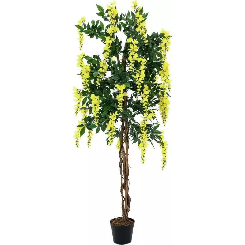 EUROPALMS Goldregen Τεχνητό φυτό, κίτρινο, 150cm 82507115