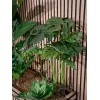 EUROPALMS Monstera deliciosa Τεχνητό φυτό, 90cm 82600220