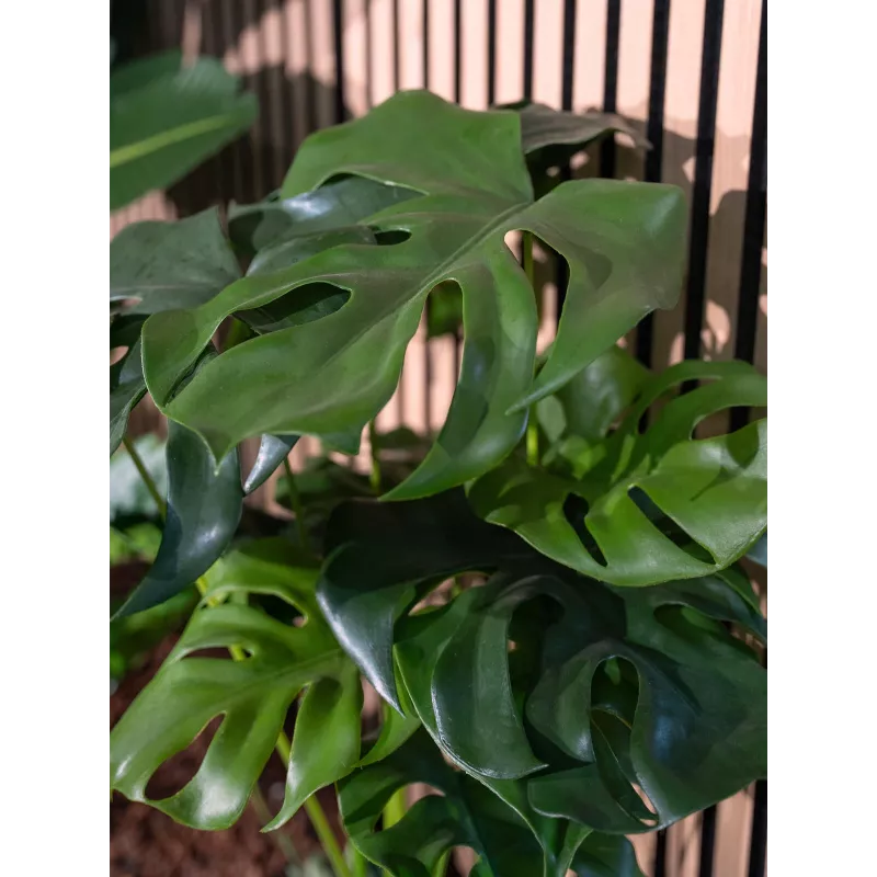 EUROPALMS Monstera deliciosa Τεχνητό φυτό, 90cm 82600220
