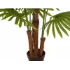 EUROPALMS Τεχνητό φοινικόφυλλο, 165 cm 82509305