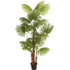 EUROPALMS Τεχνητό φοινικόφυλλο, 165 cm 82509305