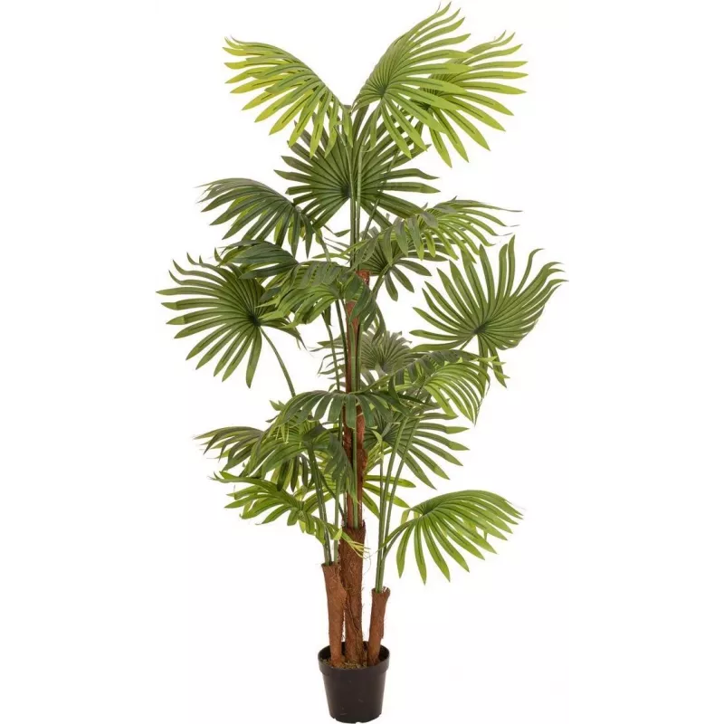EUROPALMS Τεχνητό φοινικόφυλλο, 165 cm 82509305