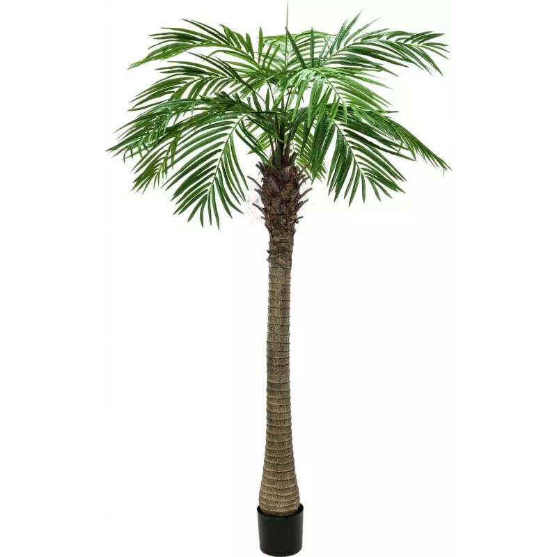 EUROPALMS Luxor Τεχνητός Φοίνικας Phoenix, 150 cm, Πράσινο 82510720