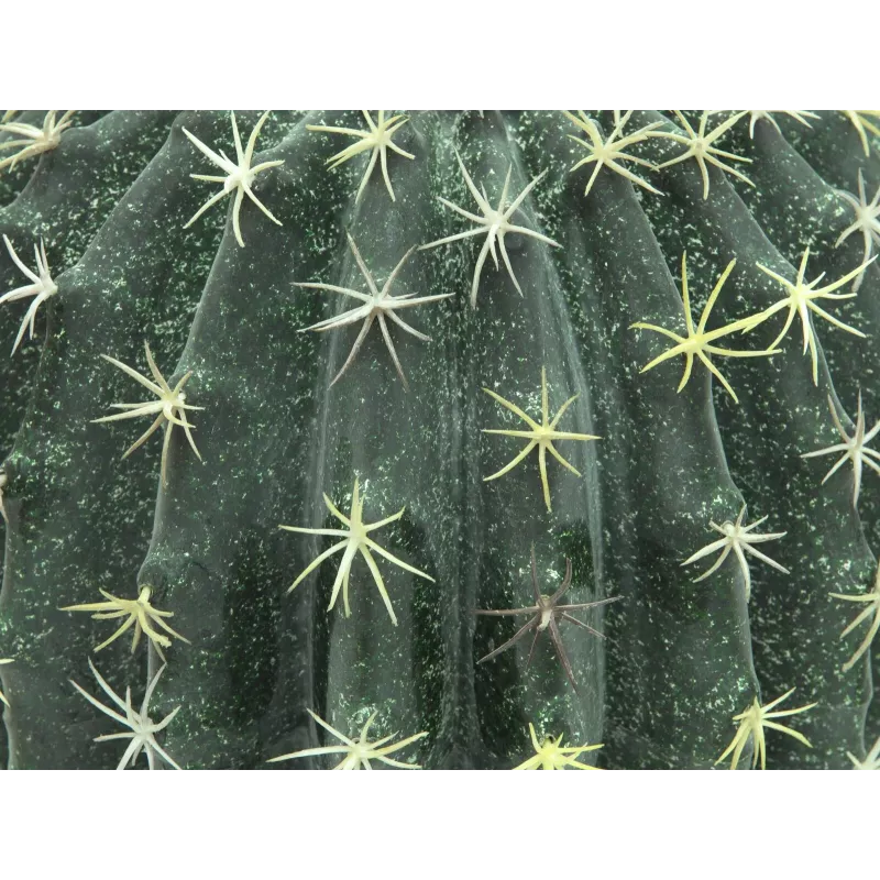 EUROPALMS Τεχνητός Κάκτος Μπάλα, 34 cm 82600063