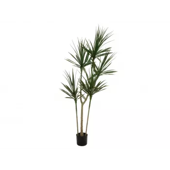 EUROPALMS Dracena Τεχνητό Φυτό, Πράσινο, 170 cm 82505799