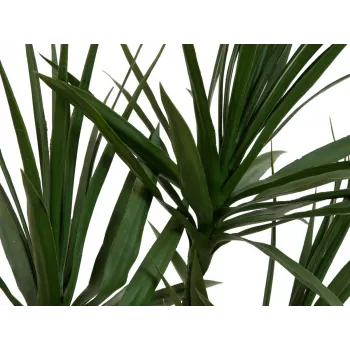 EUROPALMS Dracena Τεχνητό Φυτό, Πράσινο, 170 cm 82505799